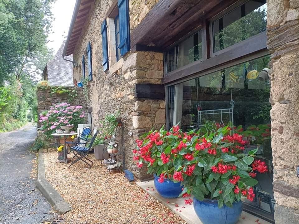 La Maison Bleue Juillac  エクステリア 写真