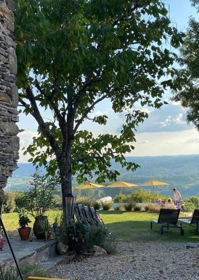 La Maison Bleue Juillac  エクステリア 写真