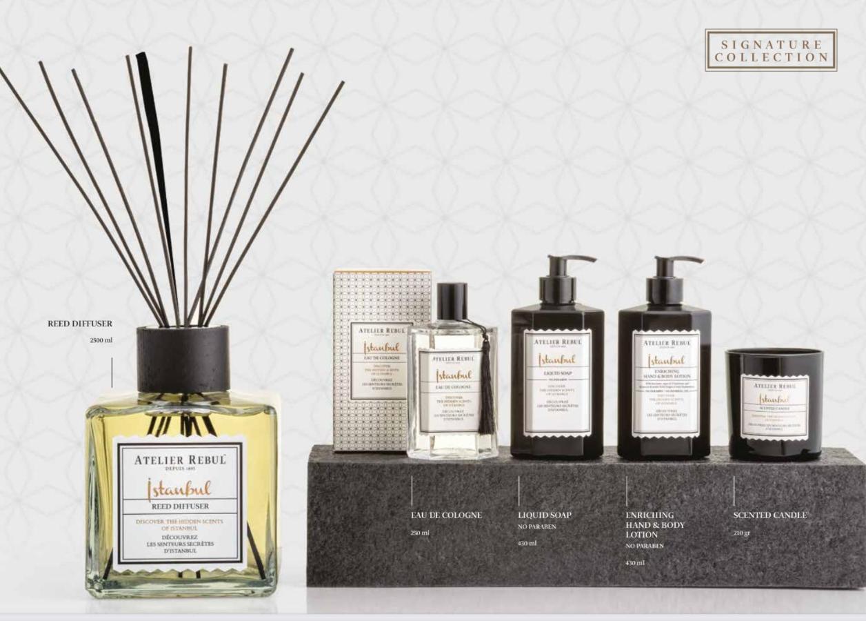 La Maison Bleue Juillac  エクステリア 写真